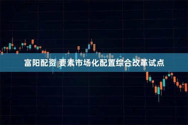 富阳配资 要素市场化配置综合改革试点