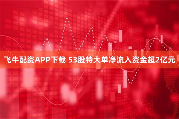 飞牛配资APP下载 53股特大单净流入资金超2亿元