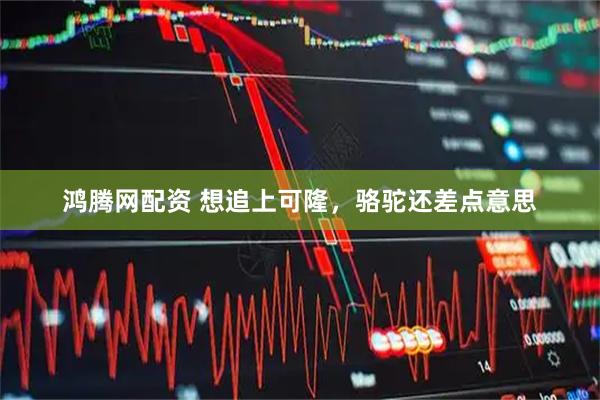 鸿腾网配资 想追上可隆，骆驼还差点意思