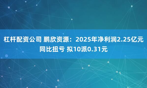 杠杆配资公司 鹏欣资源：2025年净利润2.25亿元同比扭亏 拟10派0.31元